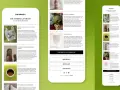Newsletter di Shopify con articoli su bellezza, integratori e latte di cocco.