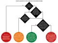 Diagramma di flusso su come reagire a un Google Core Update: valuta le tue pagine, ottimizza contenuti ed esperienza per recuperare posizioni.