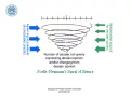 Illustrazione della teoria della spirale del silenzio: opinioni dominanti dei media e supporto interpersonale influenzano chi esprime opinioni devianti.
