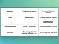 Tabella comparativa: caratteristiche dei prodotti SaaS (abbonamento, user friendly, plug-in) vs Open Source (gratuito, personalizzabile, accesso al codice).