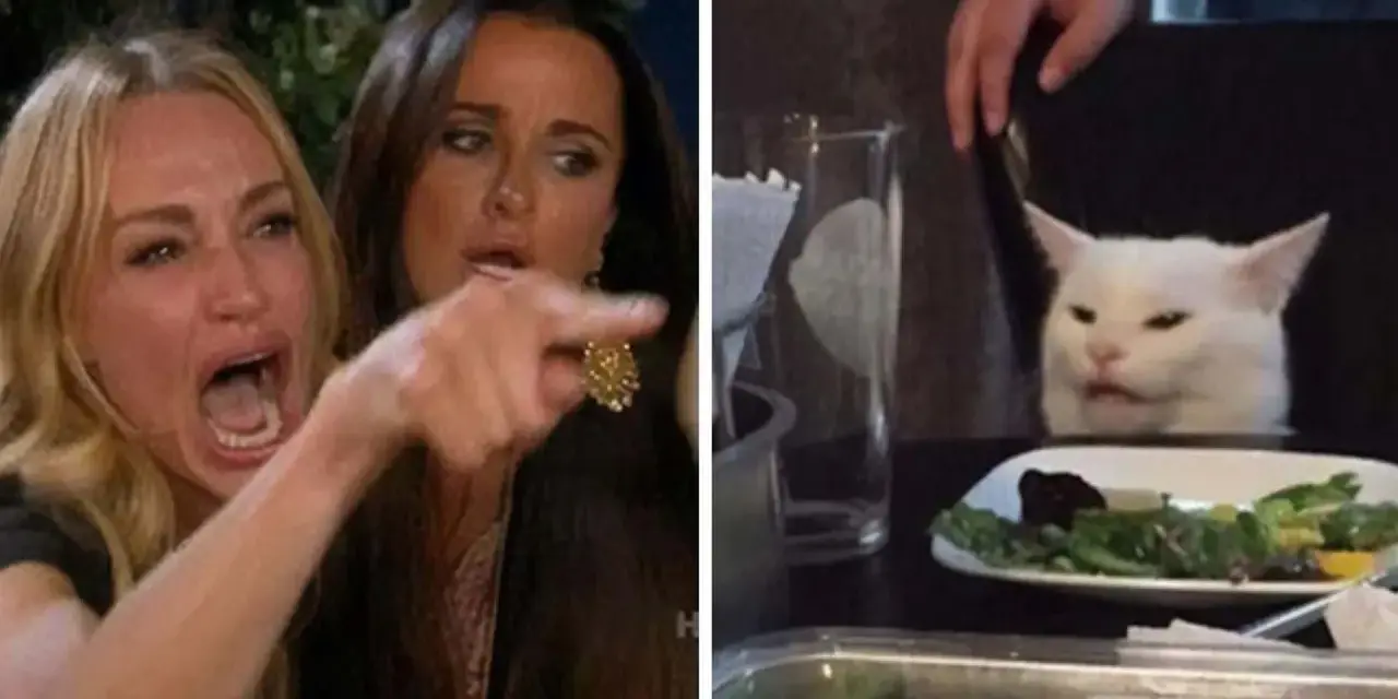 Meme di internet: donna urla contro un gatto bianco seduto a tavola con un'insalata.