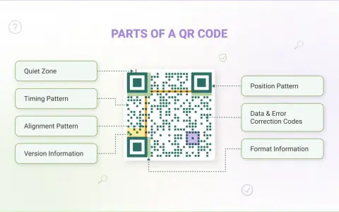 Schema che illustra cosa significa QR code, mostrando le sue parti: Quiet Zone, Timing Pattern, Alignment Pattern, Version Information, Position Pattern, Data & Error Correction Codes, Format Information.