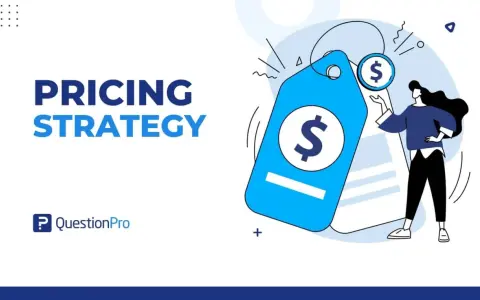 Illustrazione che spiega il pricing significato: una donna con un'etichetta blu con simbolo del dollaro.