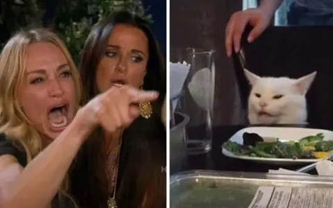 Meme di internet: donna urla contro un gatto bianco seduto a tavola con un'insalata.