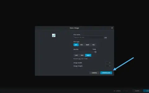 Finestra di salvataggio immagine per un favicon Shopify, con opzioni per nome file, tipo e qualità.