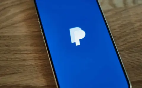 Schermo di uno smartphone con il logo PayPal su sfondo blu. Un modo semplice per aggiungere PayPal a Google Pay.
