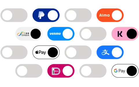 Interruttori per diverse icone pagamenti: PayPal, Octopus, Venmo, Alma, Apple Pay, Google Pay e altri.