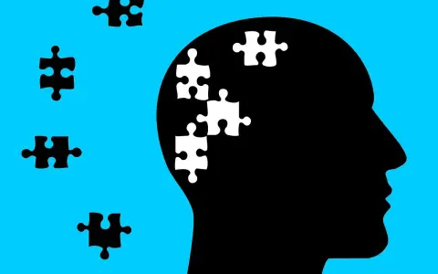 Silhouette di testa con pezzi di puzzle bianchi all'interno, che simboleggiano l'economia dell'attenzione.