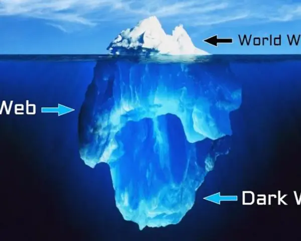 Metafora iceberg: la punta è il World Wide Web, la parte sommersa è il Deep Web, e la parte più profonda e oscura è il Dark Web.