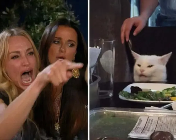 Meme di internet: donna urla contro un gatto bianco seduto a tavola con un'insalata.