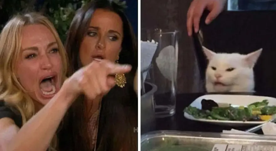 Meme di internet: donna urla contro un gatto bianco seduto a tavola con un'insalata.