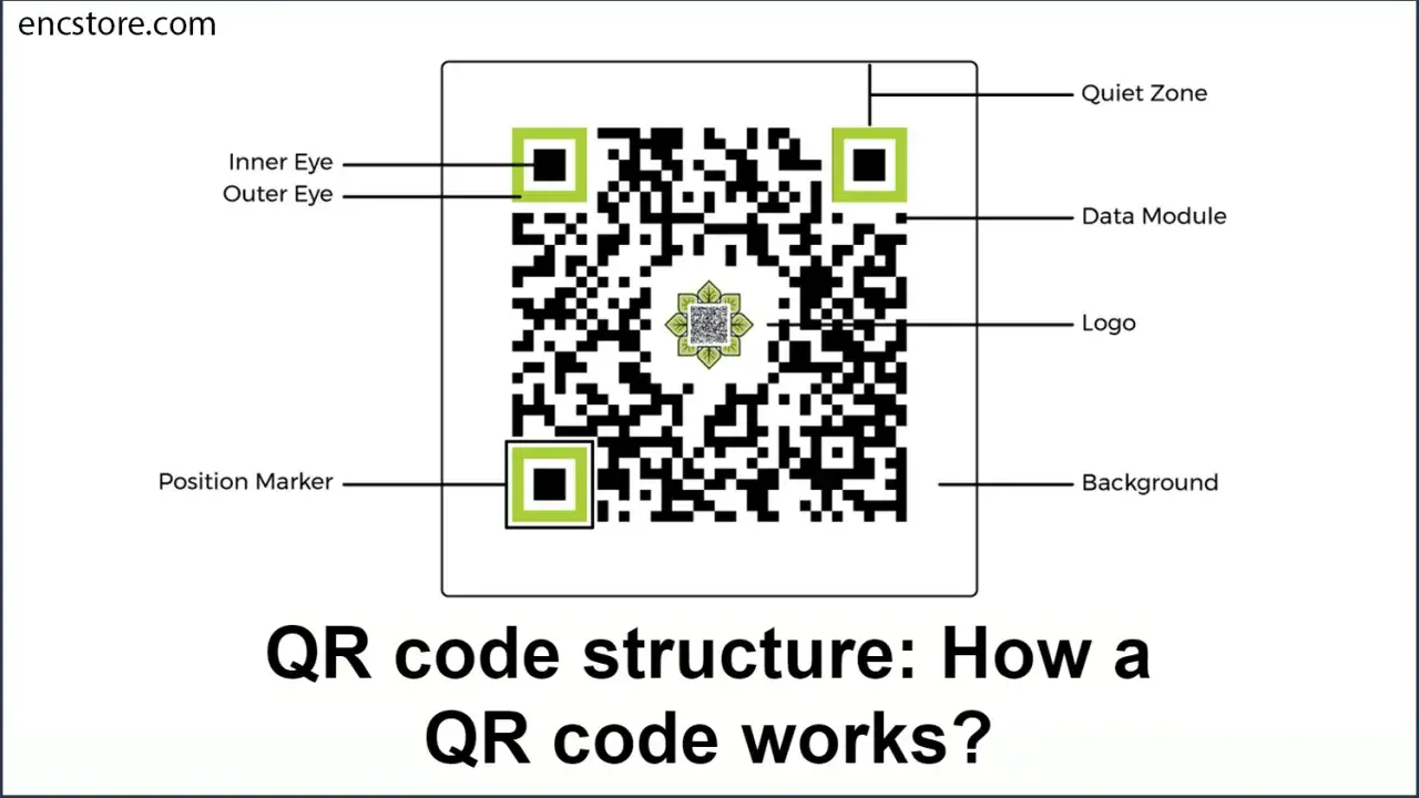 Struttura di un QR code: come funziona. Identifica i componenti: zona di silenzio, moduli dati, logo, marcatori di posizione e sfondo.